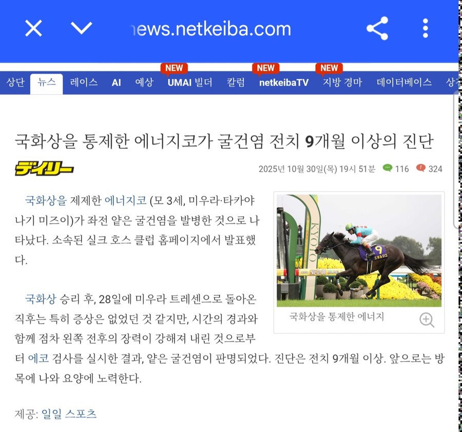 말딸,경마) 올해 킷카상 우승한 두라멘테 아들 굴건염 발병_1.jpg