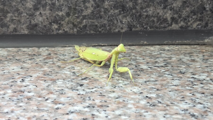 아 밥먹고 들어오는데 큰일남_3.jpg