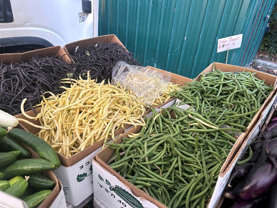 8월의 먹고살기_6.jpg