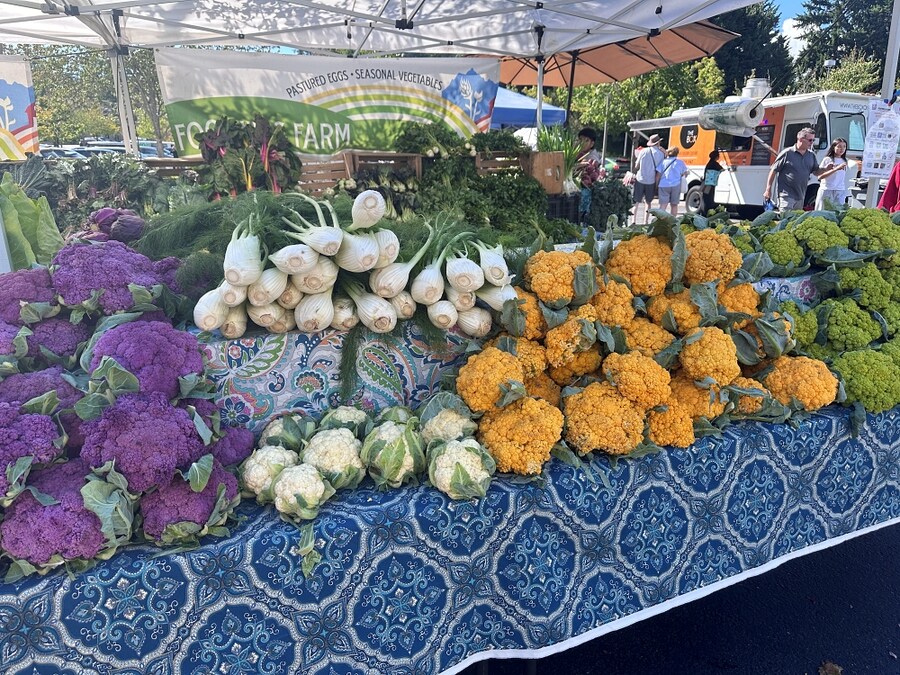 8월의 먹고살기_9.jpg