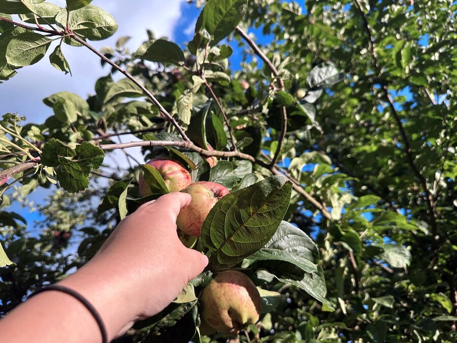 8월의 먹고살기_10.jpg