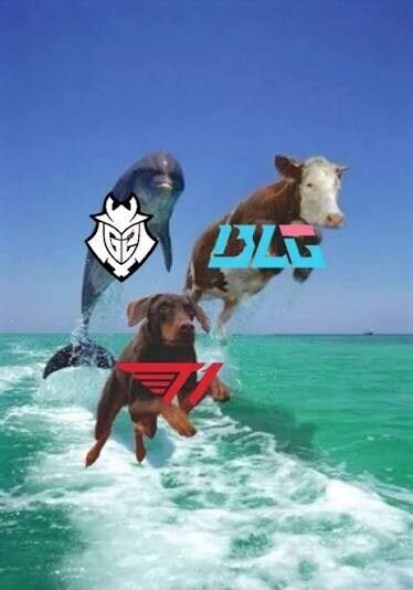 롤) 아무래도 얘네들이 티원 억제기인듯_1.jpg