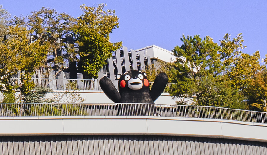 그 까만 곰 쿠마랑 구마모토랑 발음이 비슷하네(여행기)_7.jpg