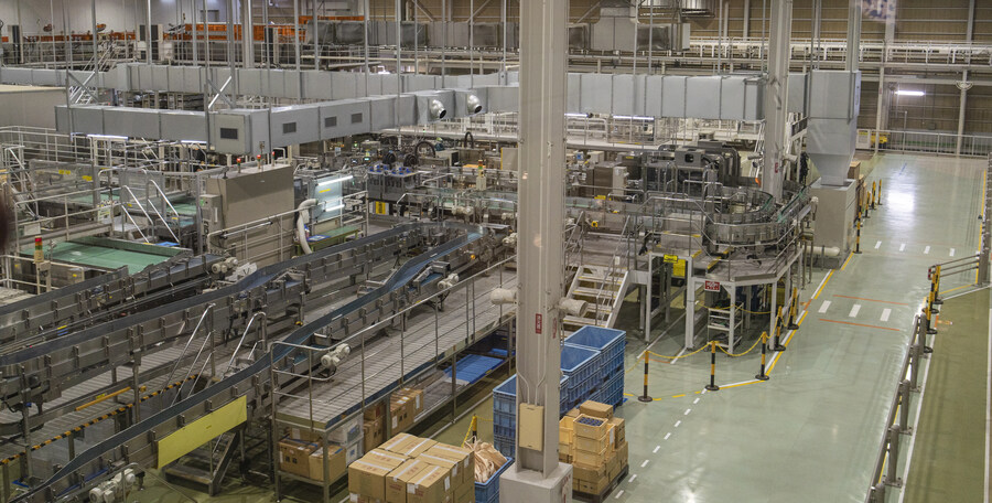 그 까만 곰 쿠마랑 구마모토랑 발음이 비슷하네(여행기)_21.jpg