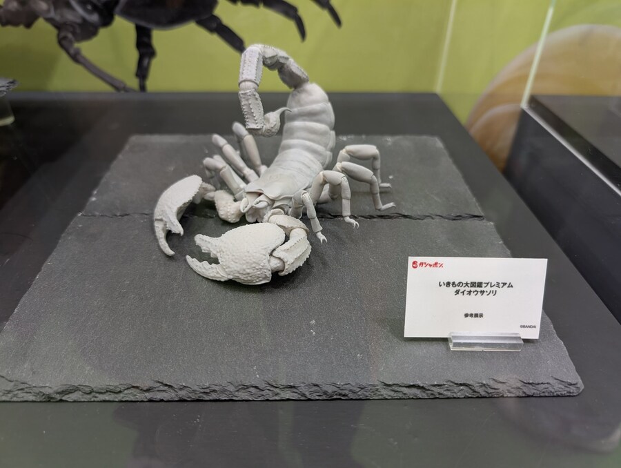 [반다이가샤폰] 생물대도감 프리미엄 황제 전갈 전시 이미지_1.jpg