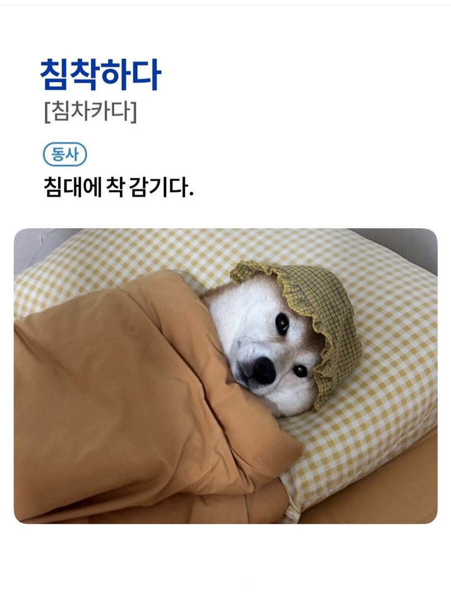이제 슬슬 침착해야 할 시간_1.jpg