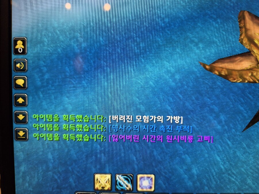 와우) 잃어버린 시간의 원시비룡 구했습니다_4.jpg