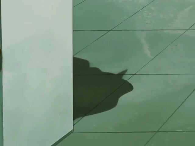 웃는 세일즈맨) 도박은 패가망신의 지름길_57.jpg