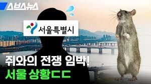 전 세계에서 쥐가 증가했다는데_1.jpg