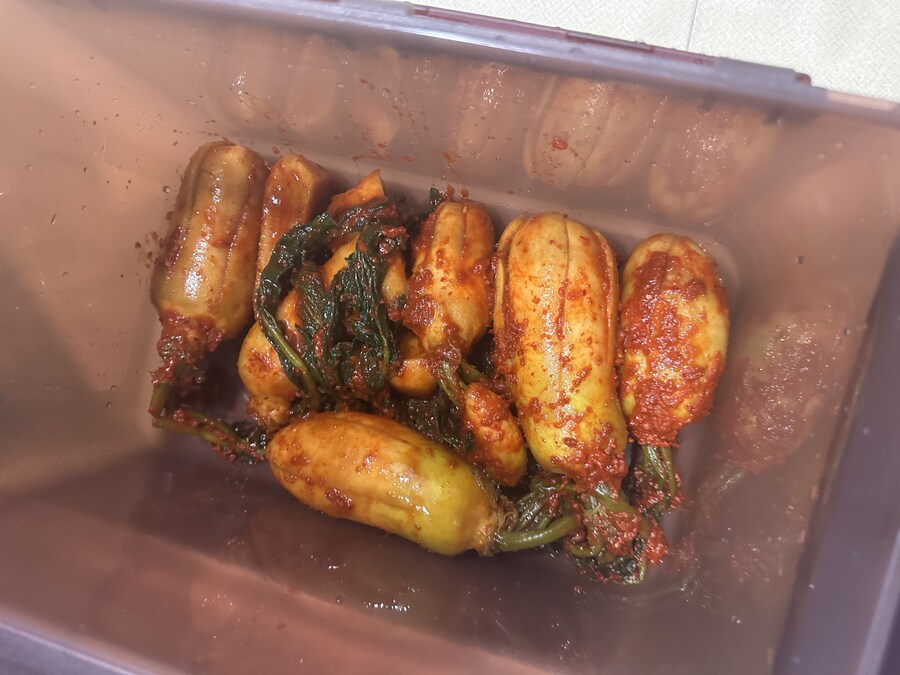 벌써 50일이 넘었습니다._13.jpg