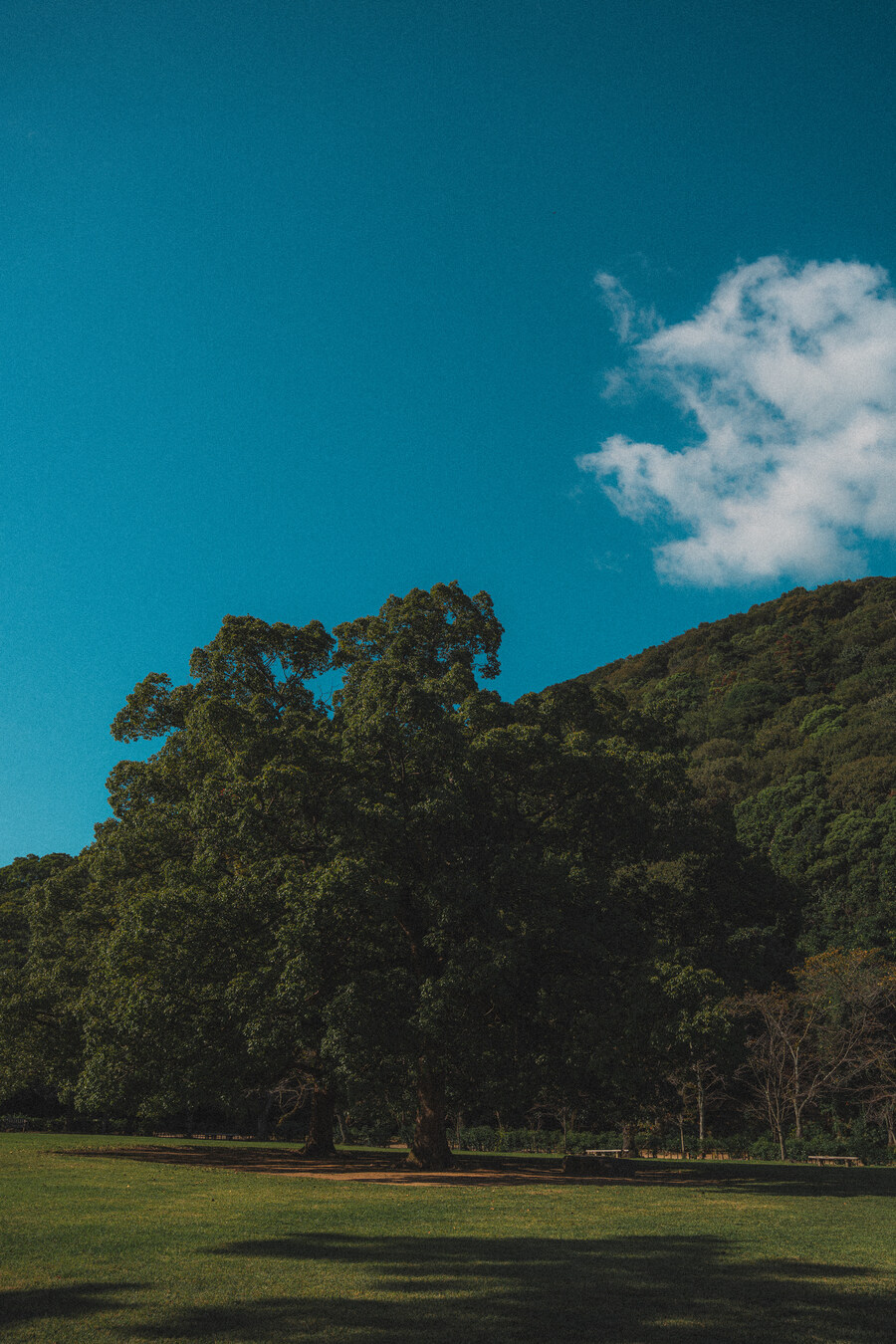 푸른 눈의 여친과의 갈때까지 '간사이' 여행_117.jpg