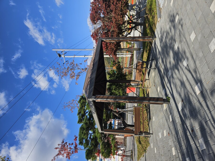 [괴산] 베트남식 고기볶음밥_2.jpg