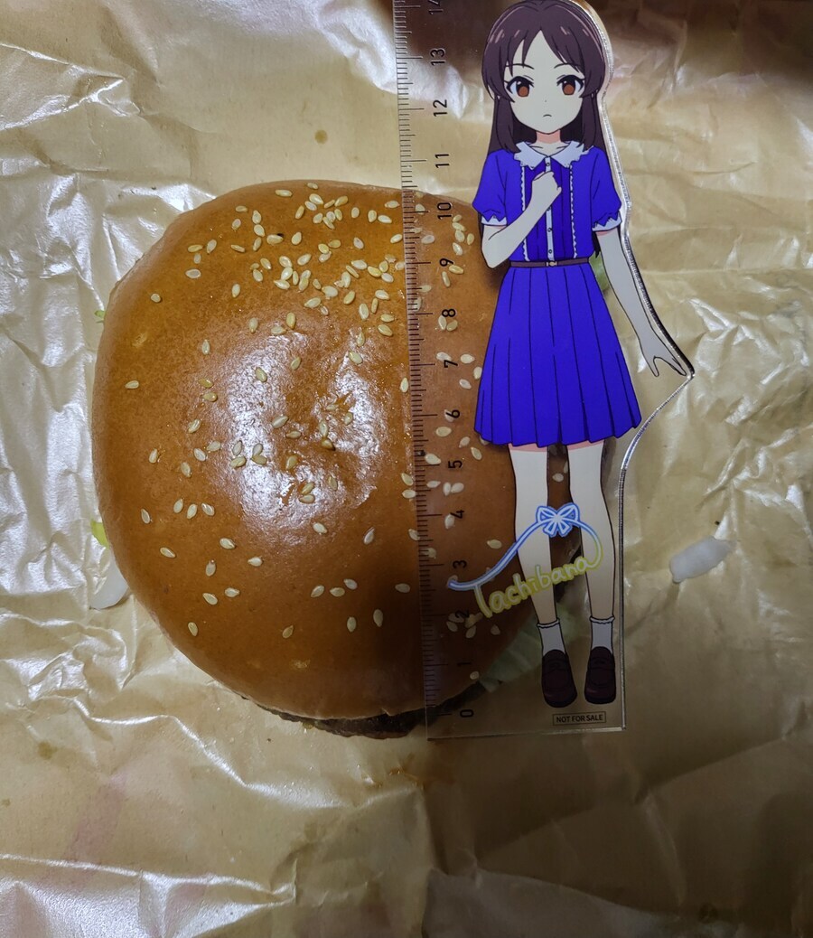 버거킹 와퍼는 리뉴얼 하면서 작아진 건 아니래_2.jpg