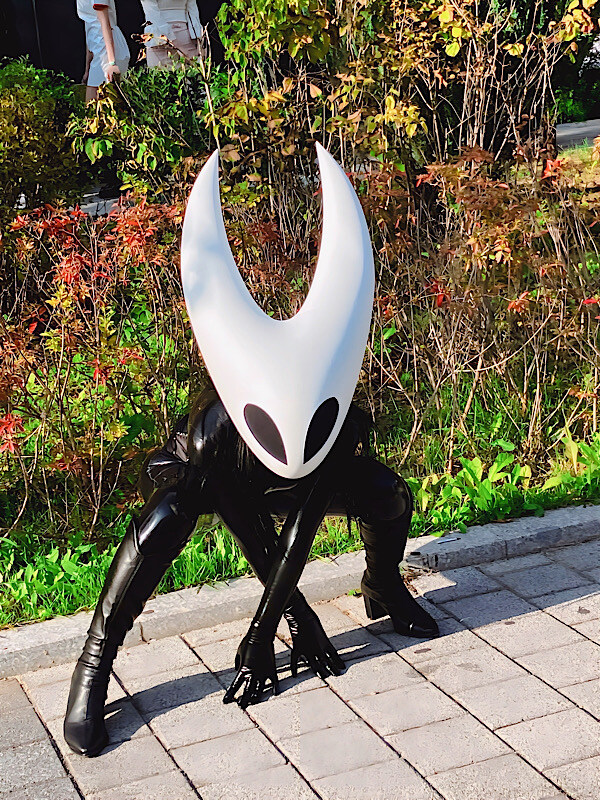 실크송) 다소 얼빵했던 호넷 코스프레.jpg_4.jpg