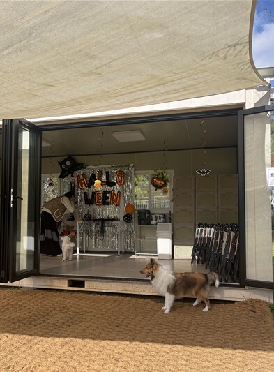 셀티 키우시는 분 있나요?_1.png