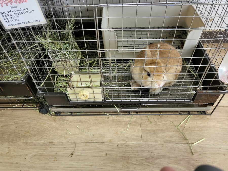 와 리노아님이랑 똑같은 것 같아요!_3.jpg