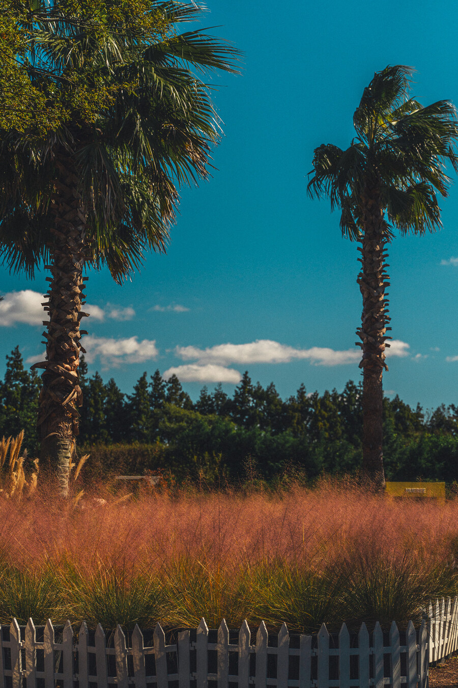 (스압)제주도 댕겨왓습니당_27.jpg