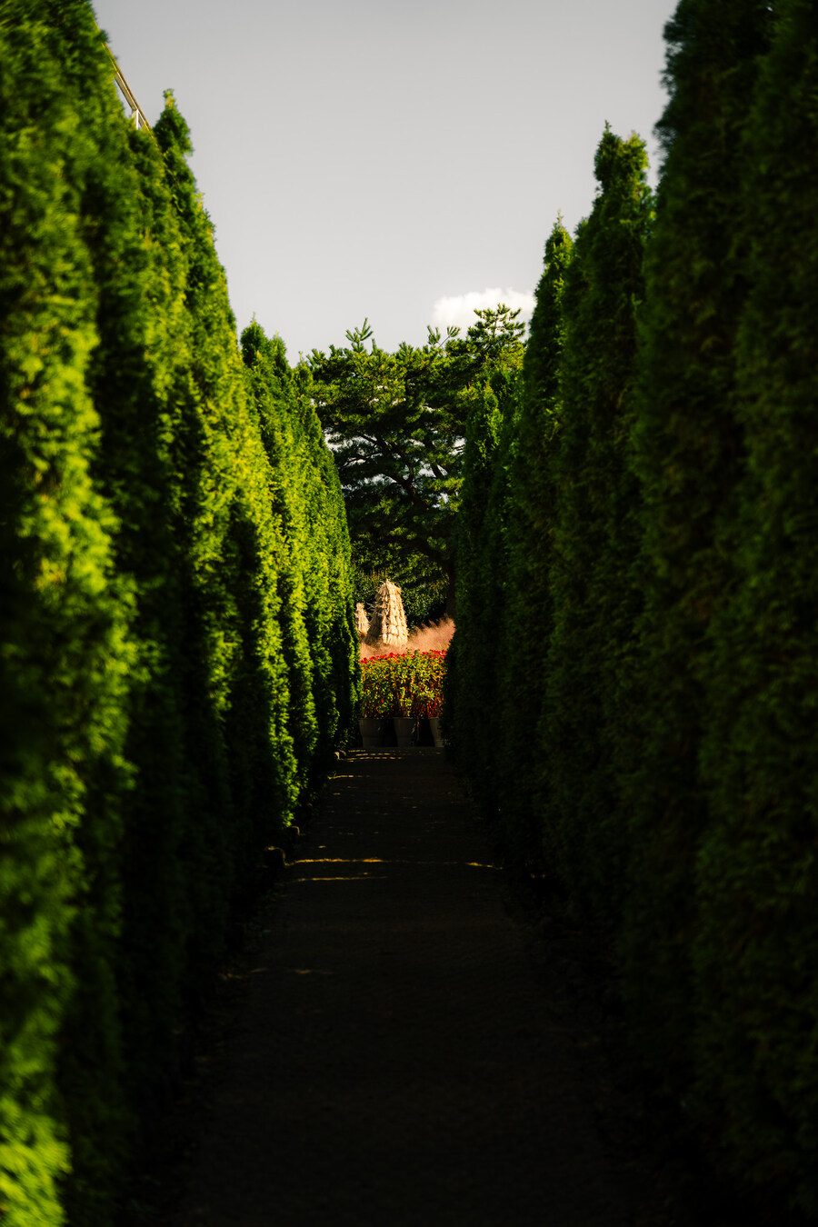 (스압)제주도 댕겨왓습니당_28.jpg
