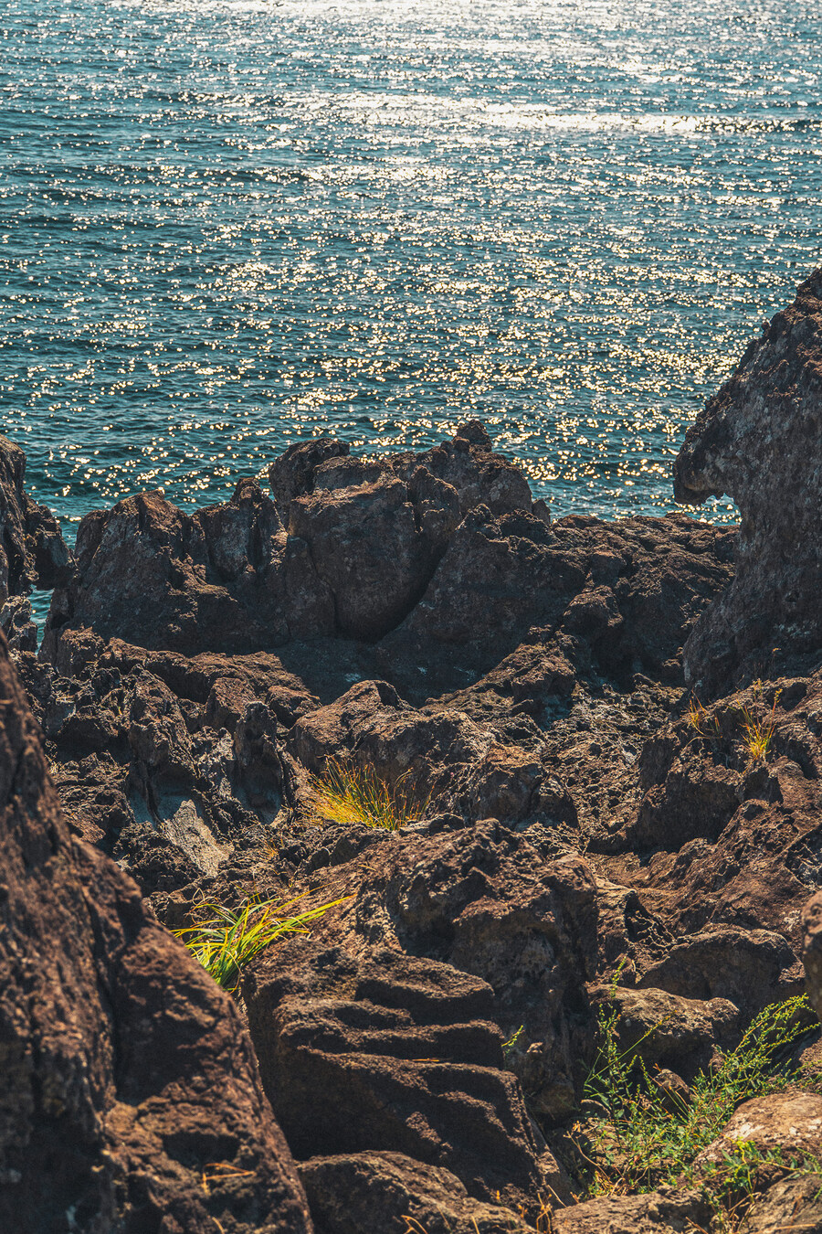 (스압)제주도 댕겨왓습니당_65.jpg