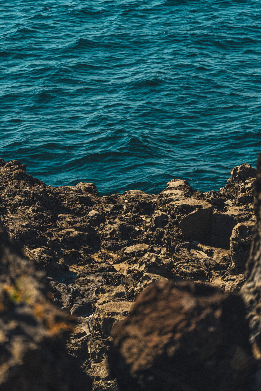 (스압)제주도 댕겨왓습니당_69.jpg