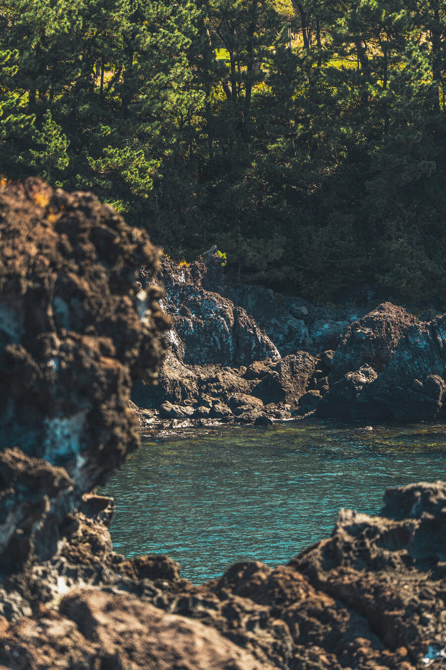 (스압)제주도 댕겨왓습니당_74.jpg