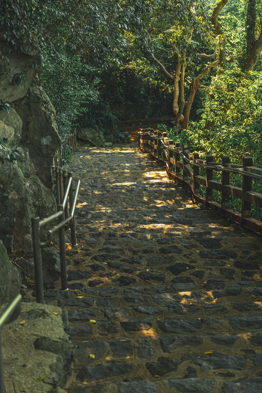 (스압)제주도 댕겨왓습니당_86.jpg