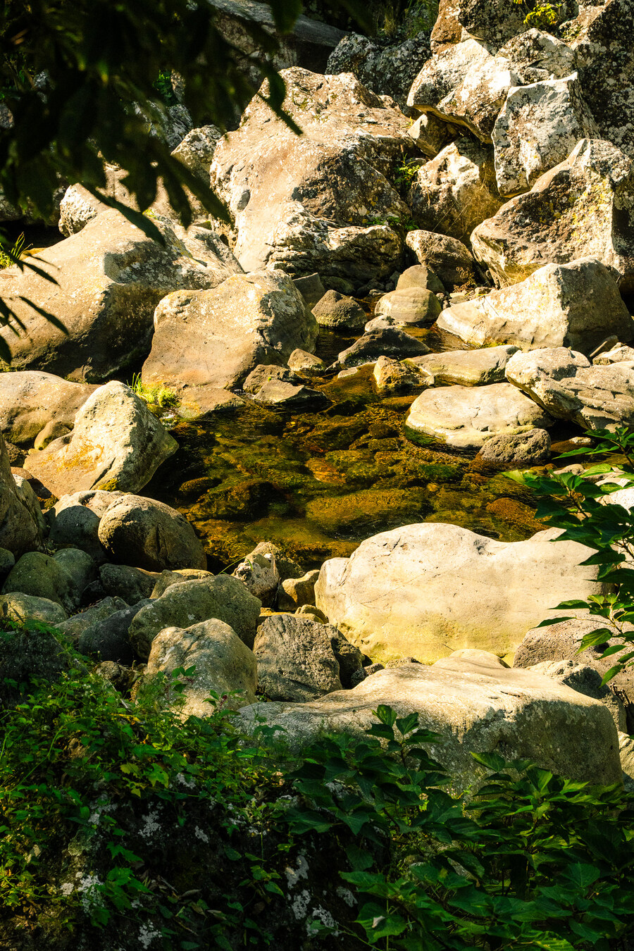 (스압)제주도 댕겨왓습니당_91.jpg