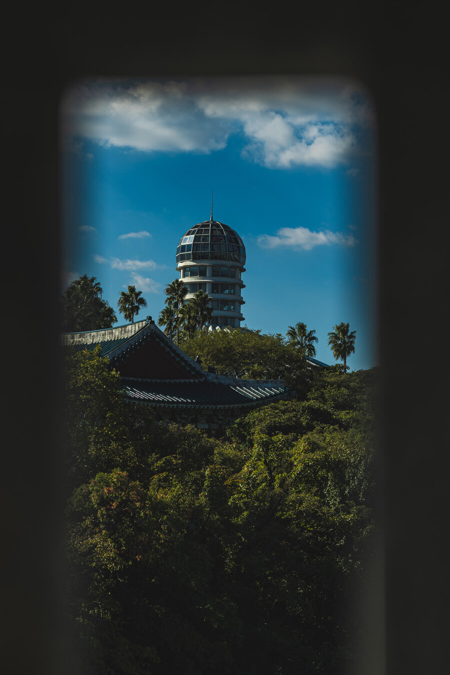 (스압)제주도 댕겨왓습니당_101.jpg