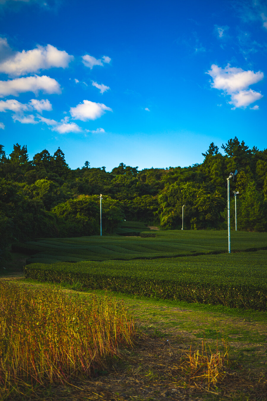 (스압)제주도 댕겨왓습니당_111.jpg