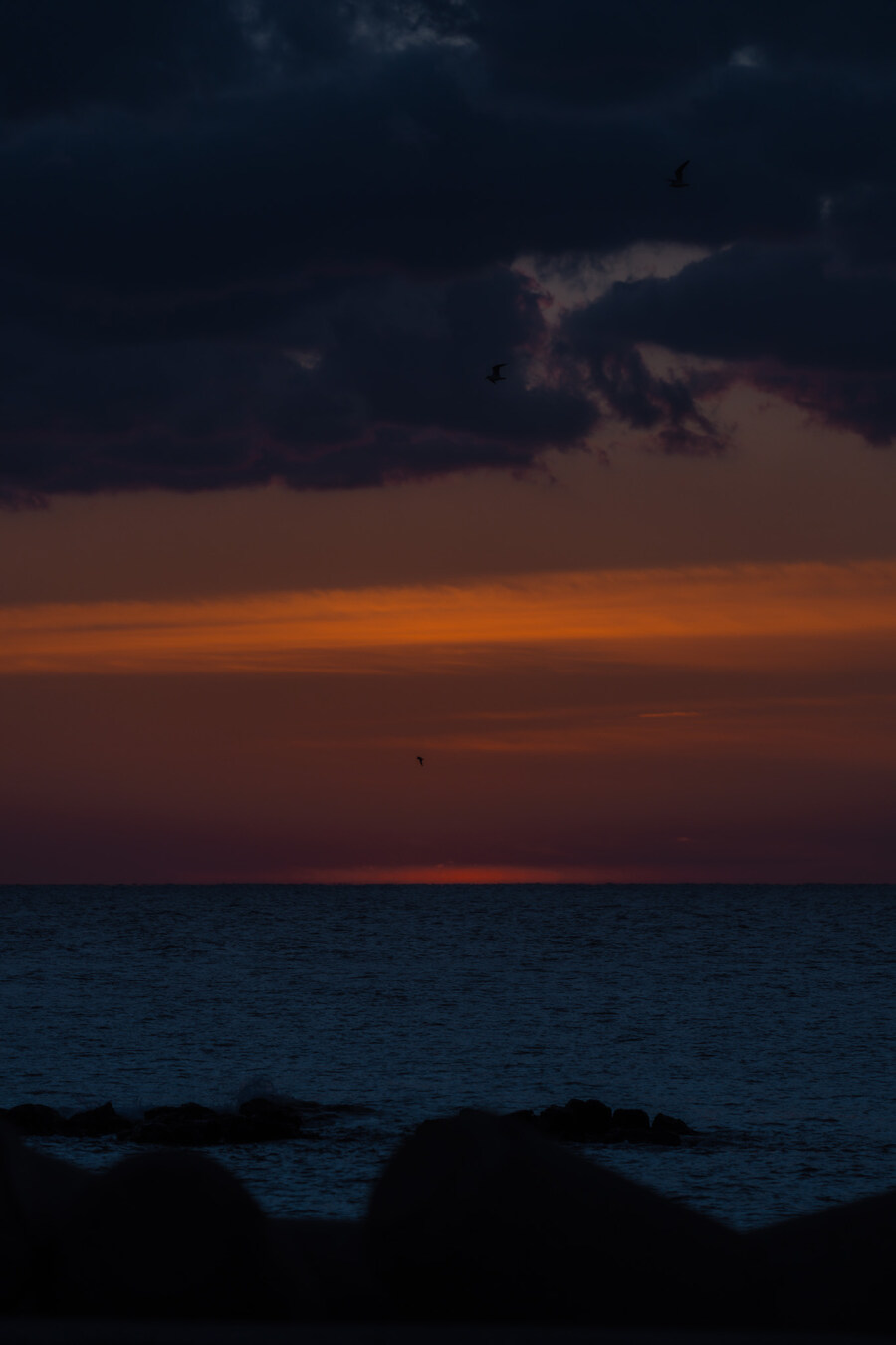 (스압)제주도 댕겨왓습니당_129.jpg