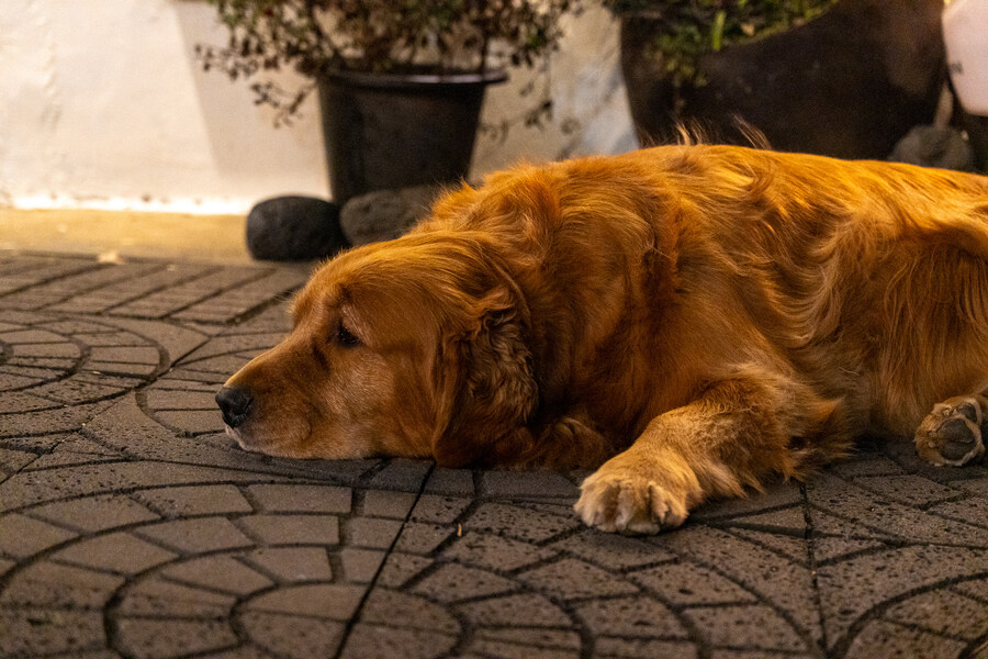 (스압)제주도 댕겨왓습니당_135.jpg