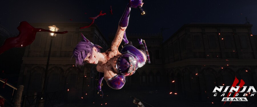 닌자 가이덴2 블랙.jpg_1.png