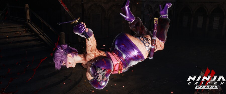 닌자 가이덴2 블랙.jpg_2.png