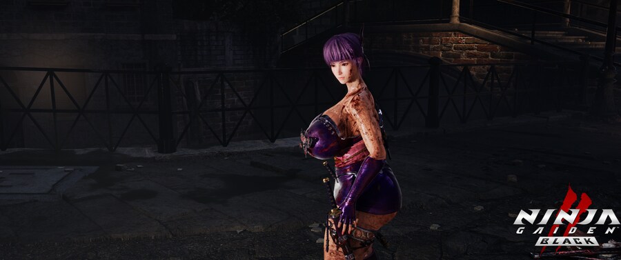 닌자 가이덴2 블랙.jpg_4.png