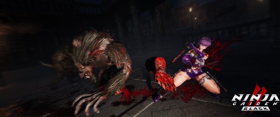 닌자 가이덴2 블랙.jpg_7.png