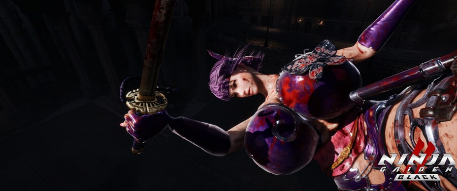닌자 가이덴2 블랙.jpg_11.png