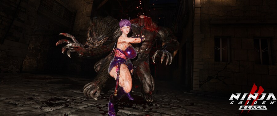 닌자 가이덴2 블랙.jpg_14.png