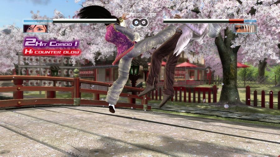 DEAD OR ALIVE 4_6.jpg