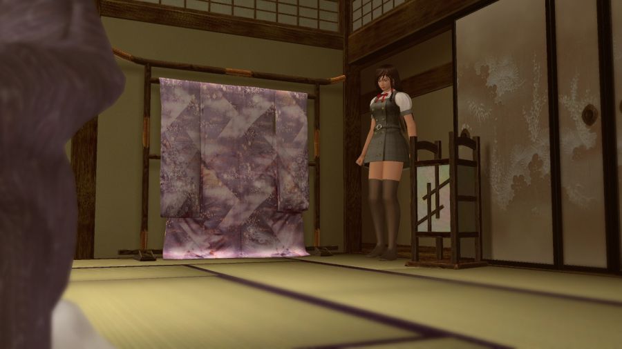 DEAD OR ALIVE 4_11.jpg