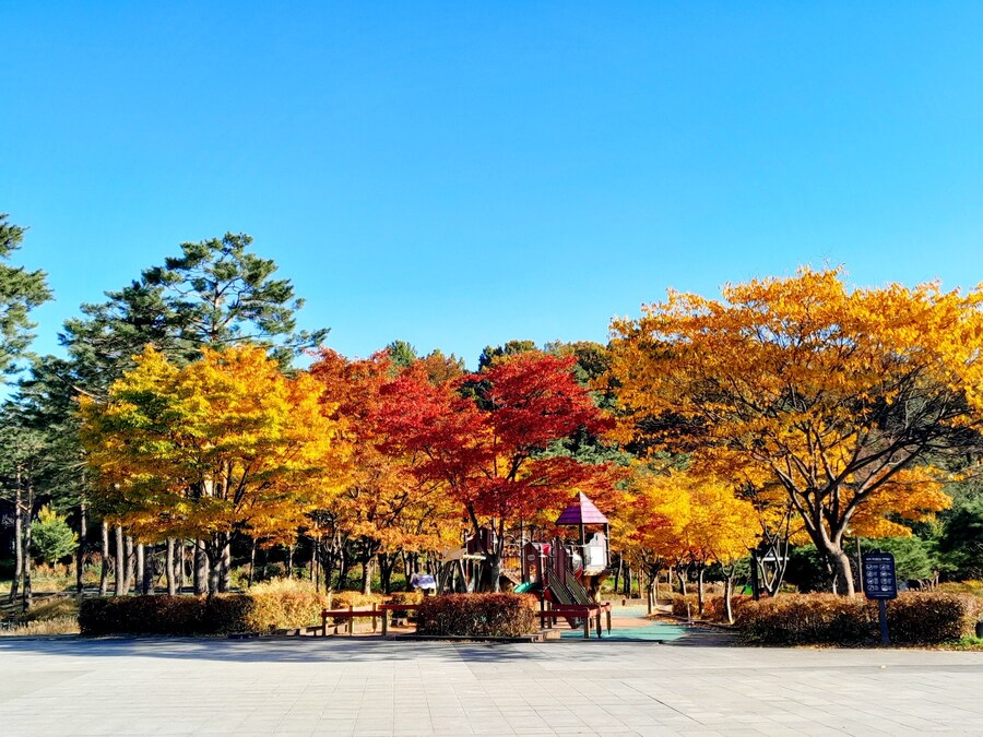 드림랜드를 아시나요?_2.jpg