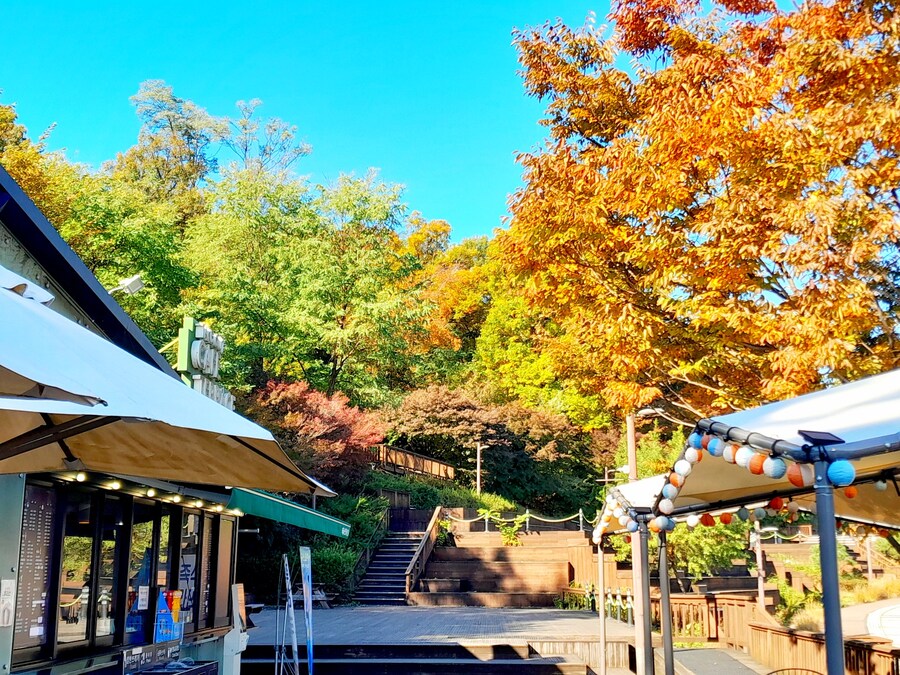 드림랜드를 아시나요?_14.jpg