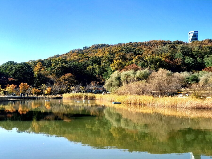 드림랜드를 아시나요?_8.jpg