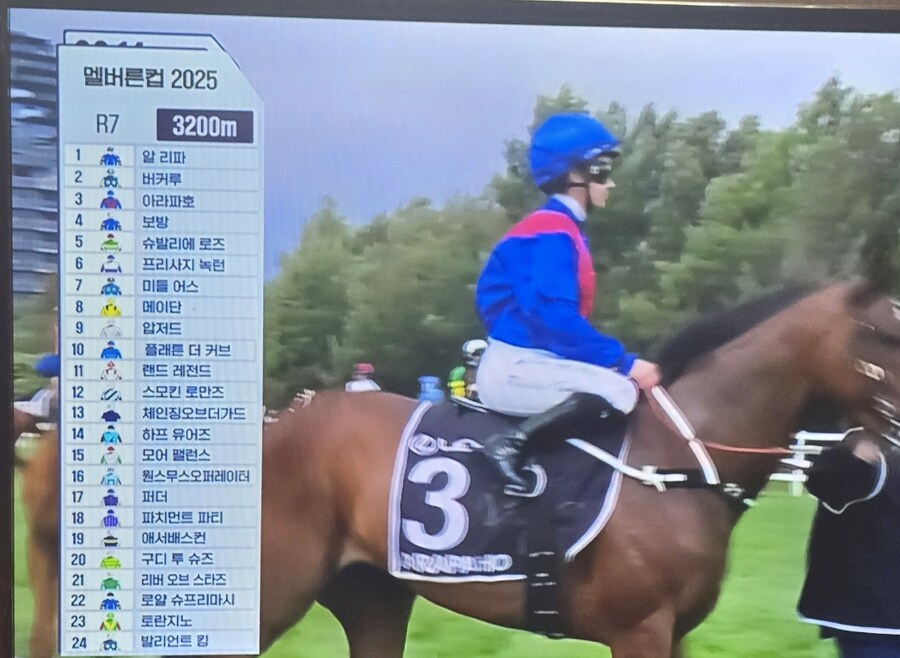 경마)멜번컵_1.jpg