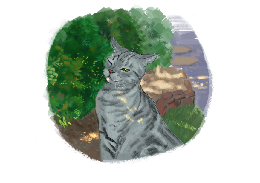 남의집 고양이 보고가이소_1.png