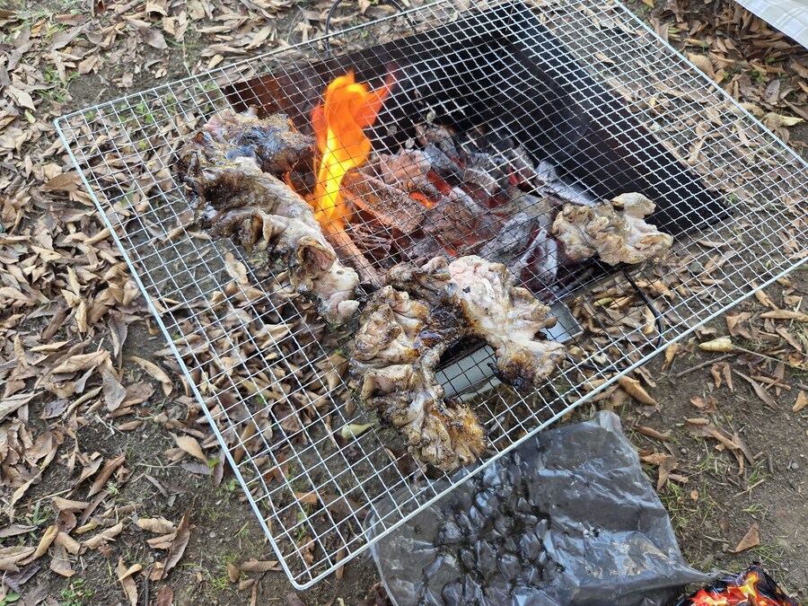 스압)캠핑장에서 도래창을 굽지 마시오_7.jpg