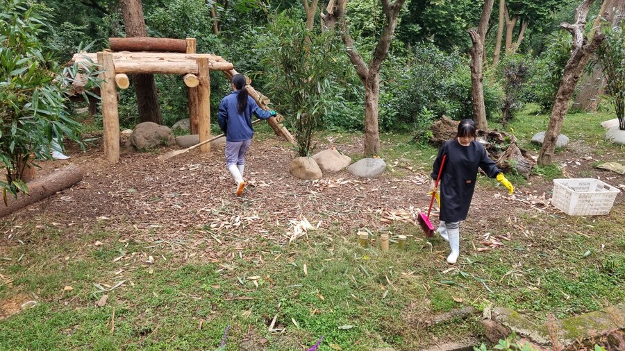 성도(청두)에서 팬더보고 왔습니다._11.jpg