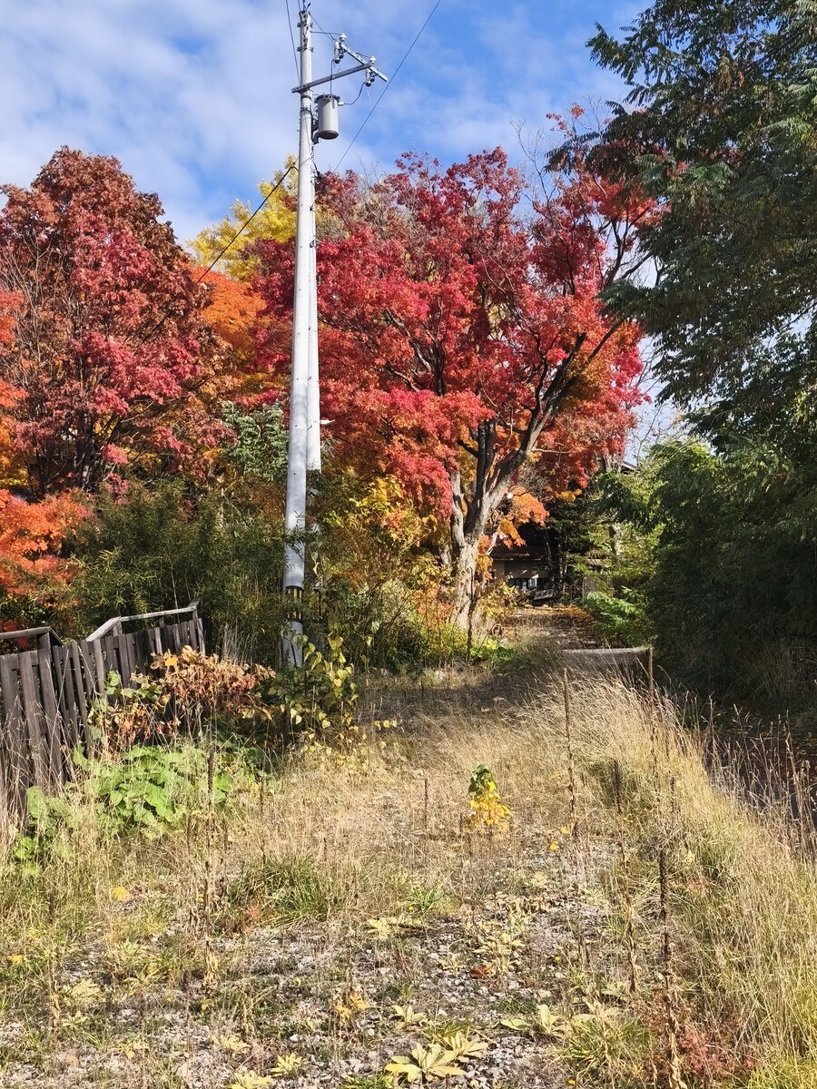 오타루 여행 1_12.jpg