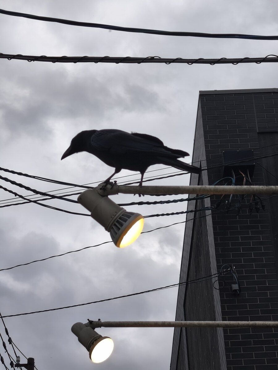 오타루 여행 2_4.jpg