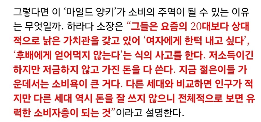 일본 기업들이 마일드 양키들을 새로운 돈줄로 주목하고 있는 이유_1.jpg