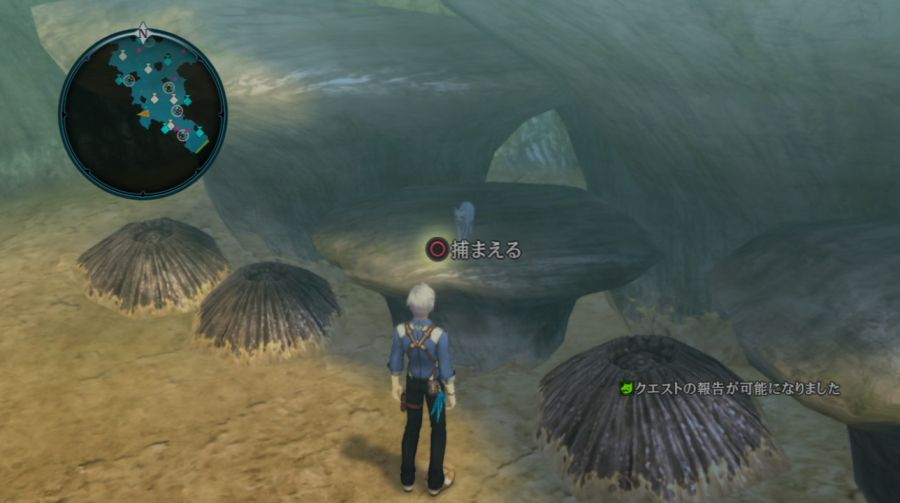 테일즈 오브 엑실리아2_15.jpg